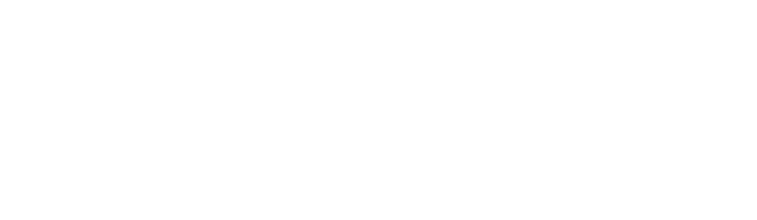 Dorr Aviation